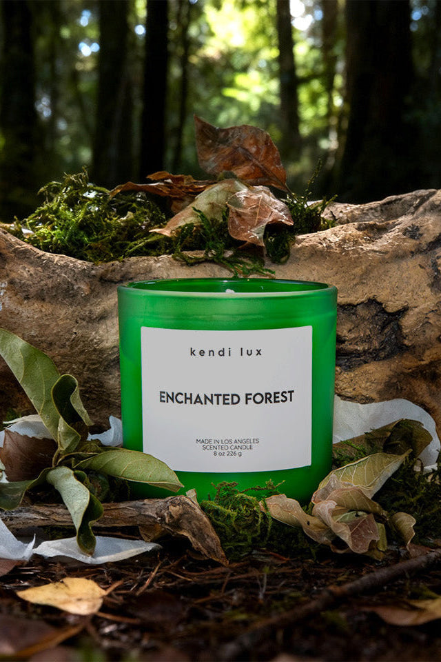 Enchanted Forest