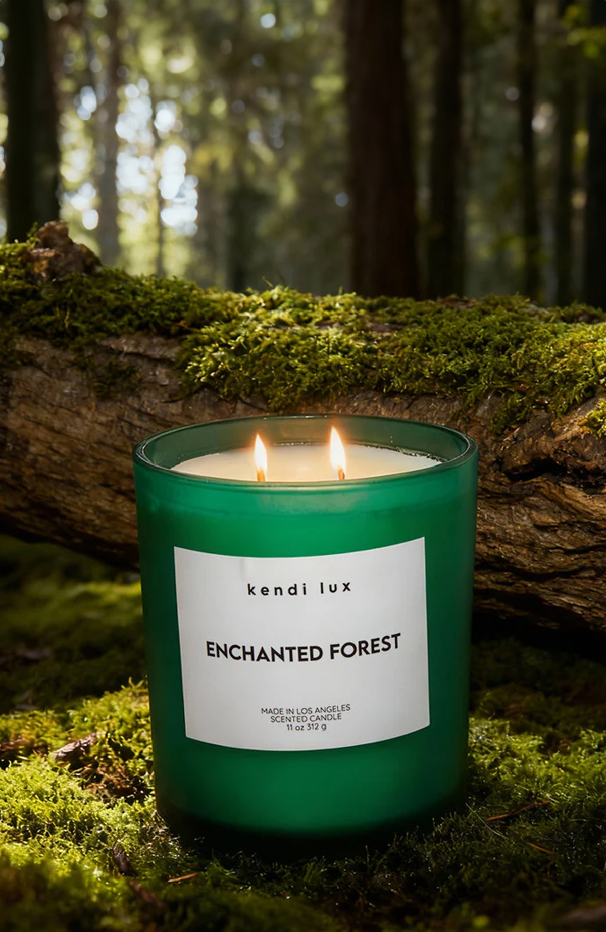 ENCHANTED FOREST (LARGE)