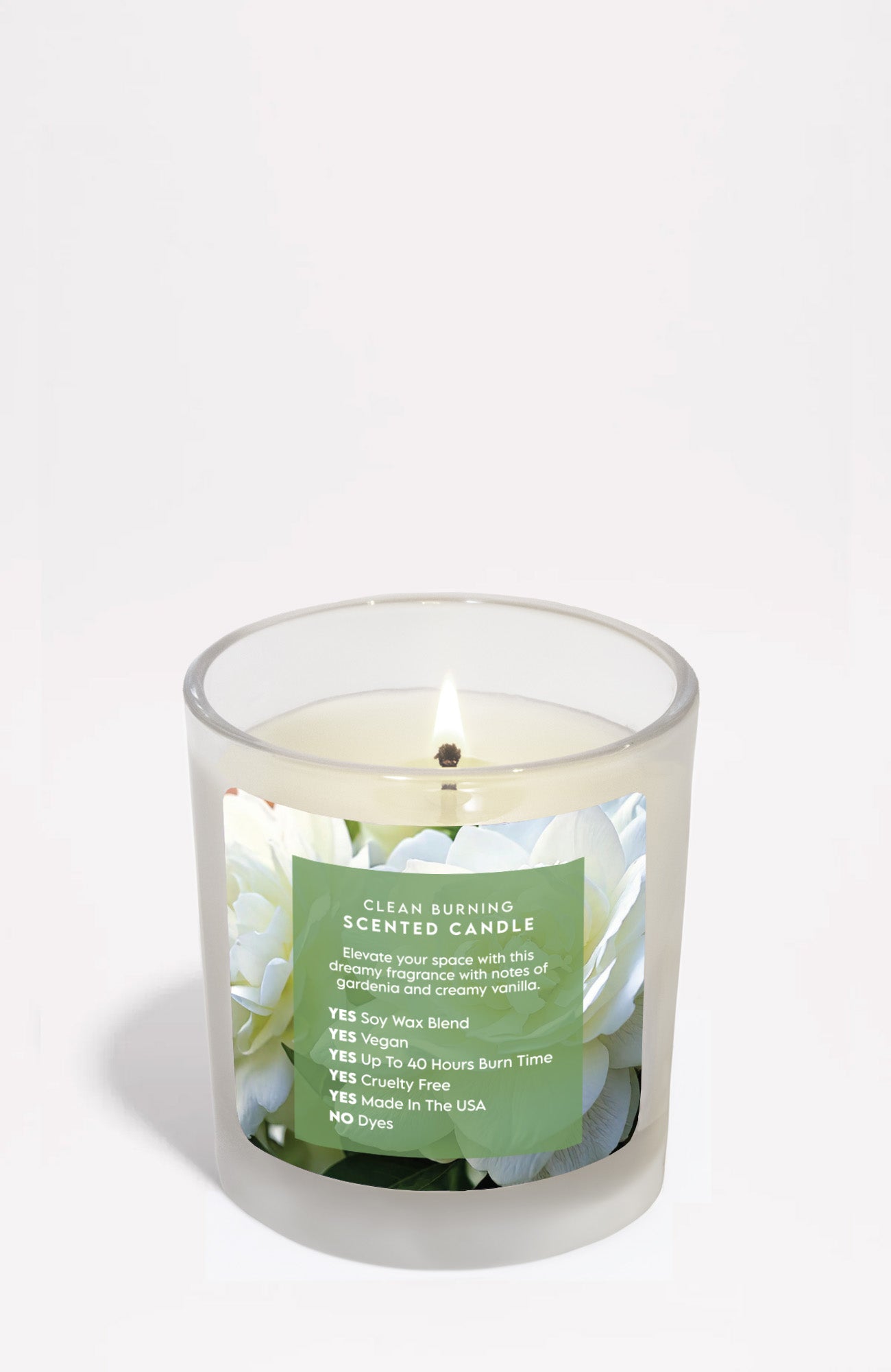 Eternal Gardenia